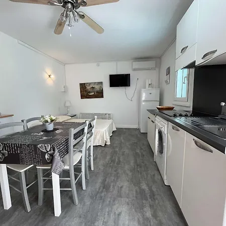 Daire Studio Climatise Proche Plage Avec Terrasse, Bbq, Parking Securise Et Equipements Inclus - Fr-1-650-21 San-Nicolao