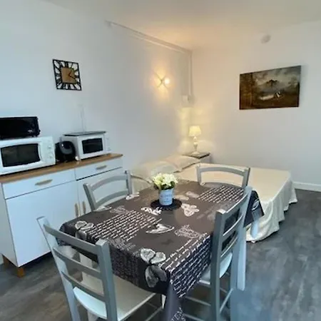 Studio Climatise Proche Plage Avec Terrasse, Bbq, Parking Securise Et Equipements Inclus - Fr-1-650-21